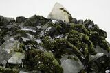 Lustrous Dark Green Epidote Crystals with Quartz - Turkey #303460-4